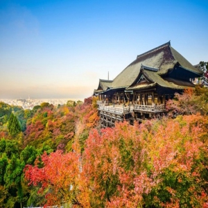 【日本季節限定】大阪、和歌山、京都5天賞楓之旅