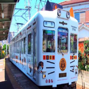 【日本關西】大阪、和歌山、円月島、京都、心齋橋5天玩樂之旅