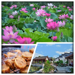 食足6餐 惠州豐渚園 千年水東街 梅菜一條街 素文化養生自助餐 純玩2天