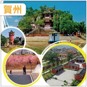 賀州 茶是故鄉濃拍攝地 解鎖世界長壽之鄉 廣西小故宮臨賀故城 連住兩晚賀州維也納酒店 美食純玩3天