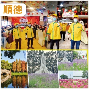 尋味順德.四人抬青花瓷8斤大魚宴全新開業.佛山大瀝美豪麗致純玩2天