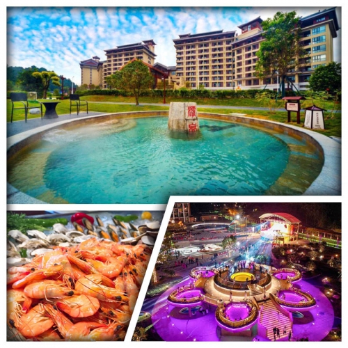 新興翔順金水台溫泉小鎮 任浸三料蓮花溫泉 位上長白山人參燉花膠 紅燒石歧乳鴿純玩2天