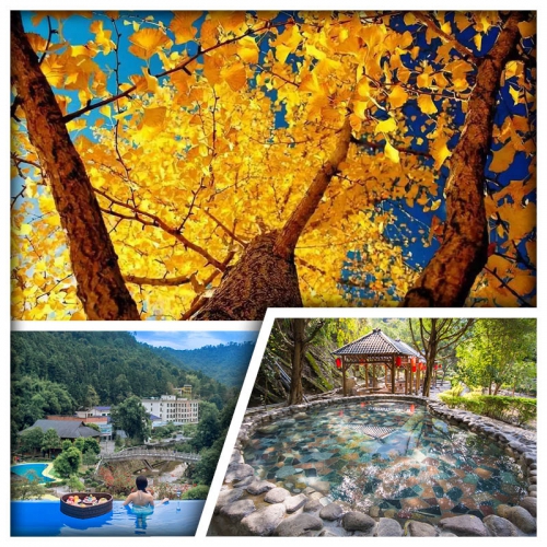 連住2晚陽山第一峰天泉溫泉度假村 任浸高山真溫泉 賞古村千年銀杏 純玩3天
