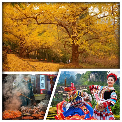 B線-深山里的黃金秋色 連州銀杏林 連南千年瑤寨 賞瑤族歌舞表演 連州夜市美食街 純玩3天