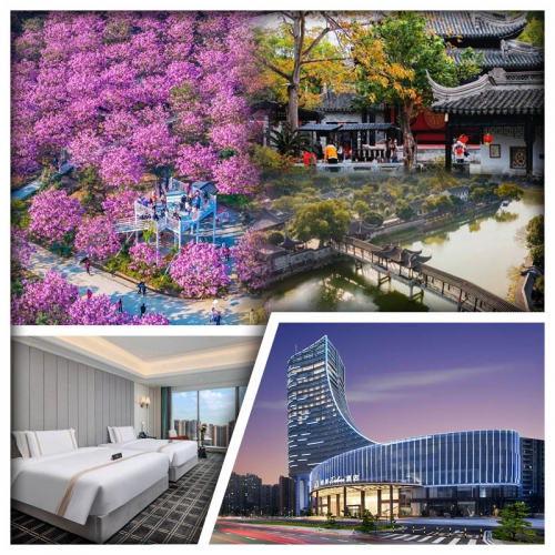 江門冬日賞紫色風鈴花海 中山大宅門『詹園』 輕奢享受江門希岸Deluxe酒店純玩2天