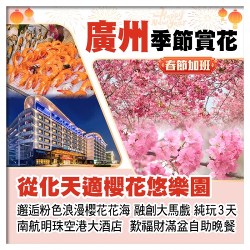 (春節加班）從化天適櫻花悠樂園逅粉色浪漫櫻花花海 連住2晚南航明珠空港大酒店 融創大馬戲純玩3天 