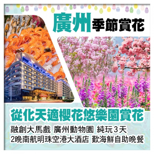(復活加班）連住2晚南航明珠空港大酒店、海鮮自助晚餐、天適櫻花悠樂園、融創大馬戲、廣州動物園純玩3天