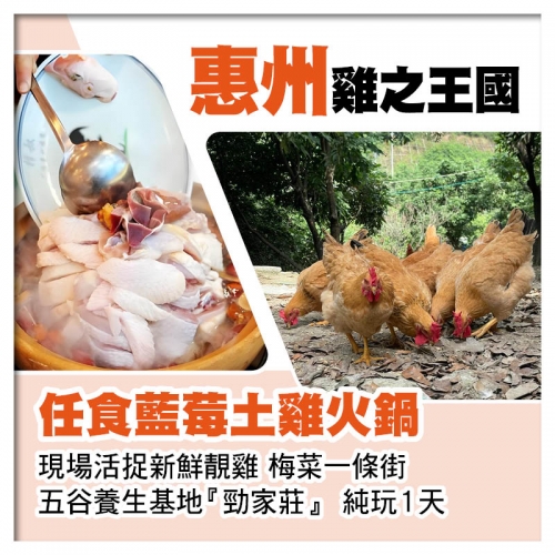 惠州雞之王國～任食藍莓土雞火鍋 現場活捉新鮮靚雞、梅菜一條街 純玩1天