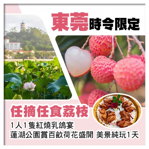 東莞任摘任食荔枝、1人1隻紅燒乳鴿宴、蓮湖公園賞百畝荷花純玩1天