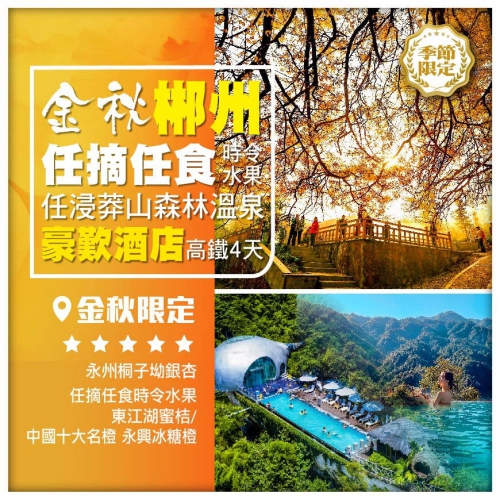 【湖南郴州】金秋限定賞桐子坳銀杏 任摘任食蜜桔/冰糖橙 任浸莽山溫泉 高鐵4天
