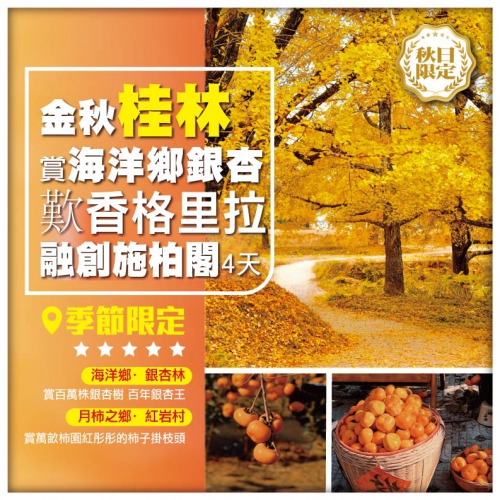 45週年慶【金秋桂林】桂林 陽朔 海洋鄉銀杏+恭城月柿 【國際品牌】香格里拉+融創施柏閣4天