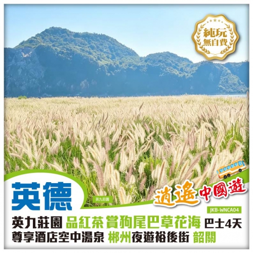 純玩 四地聯遊 英九莊園品紅茶賞狗尾巴草花海 尊享酒店空中湯泉 夜遊裕後街 巴士4天
